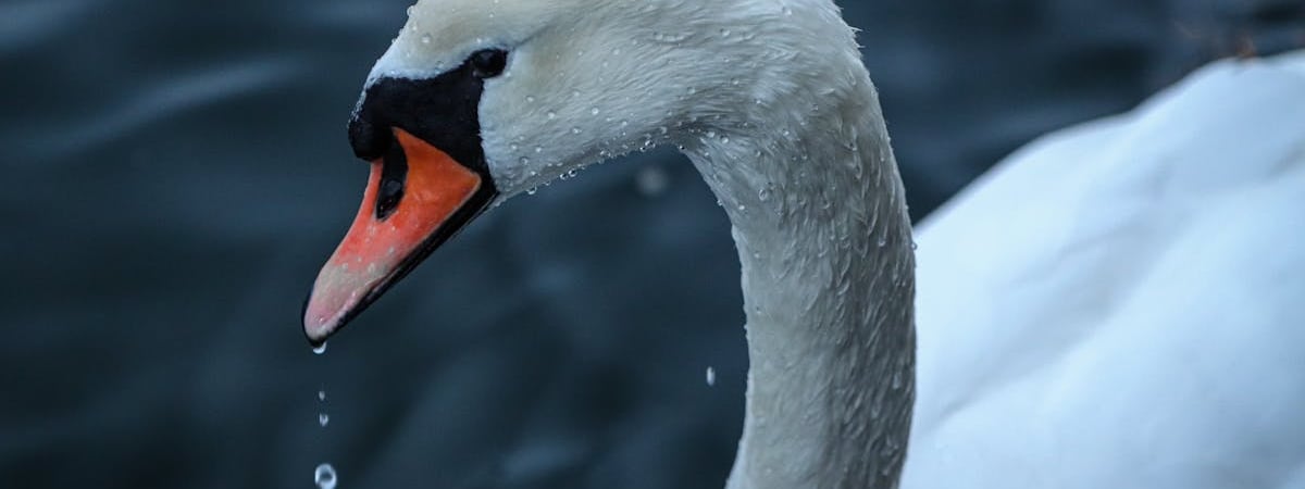 Минск сегодня полностью перевели на артезианскую воду