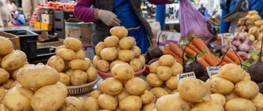 Узнали, где самый дешевый картофель в мире