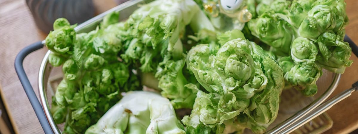 Казахстанским фермерам перестанут выдавать субсидии с 2025 года