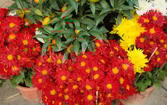 В Барановичском районе серийный вор ел на месте преступления, а посуду не мыл. Так его и нашли