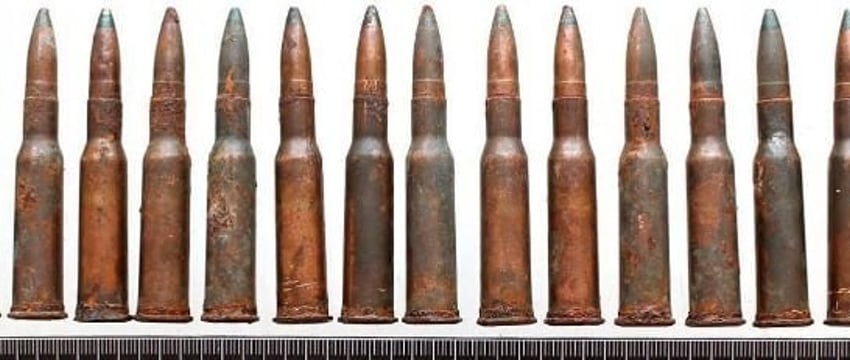 17 патронов нашел на участке житель Гродненской области