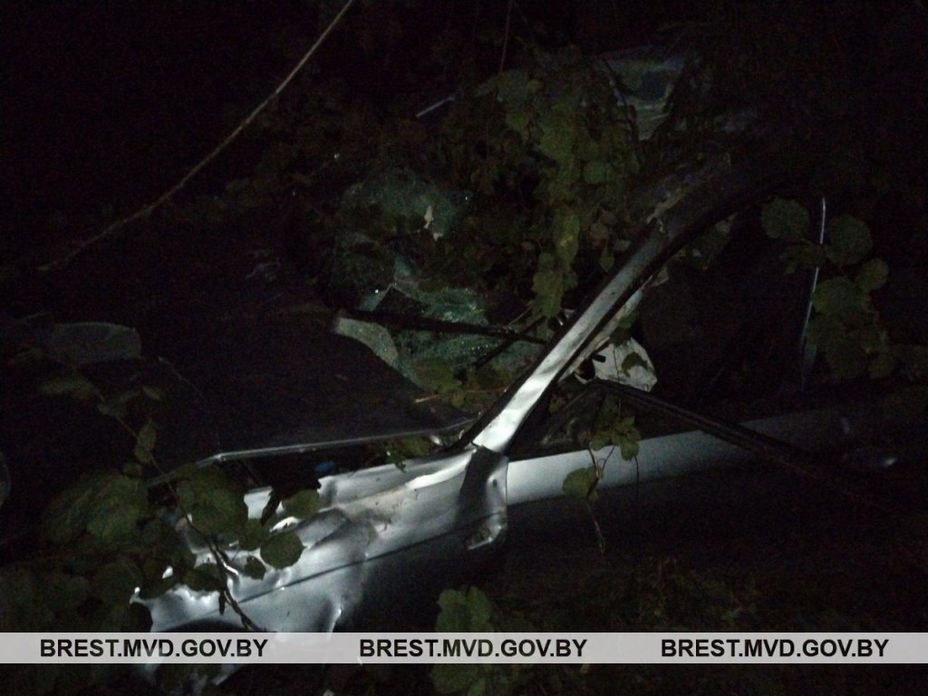 Лось погиб, водитель из Бреста в больнице. Подробности ДТП в Ляховичском районе