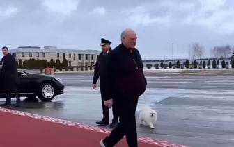 Лукашенко взял с собой в Узбекистан собаку Умку — Видео