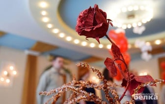 Татьянин день. Дата собрала аншлаг в загсах Гомеля