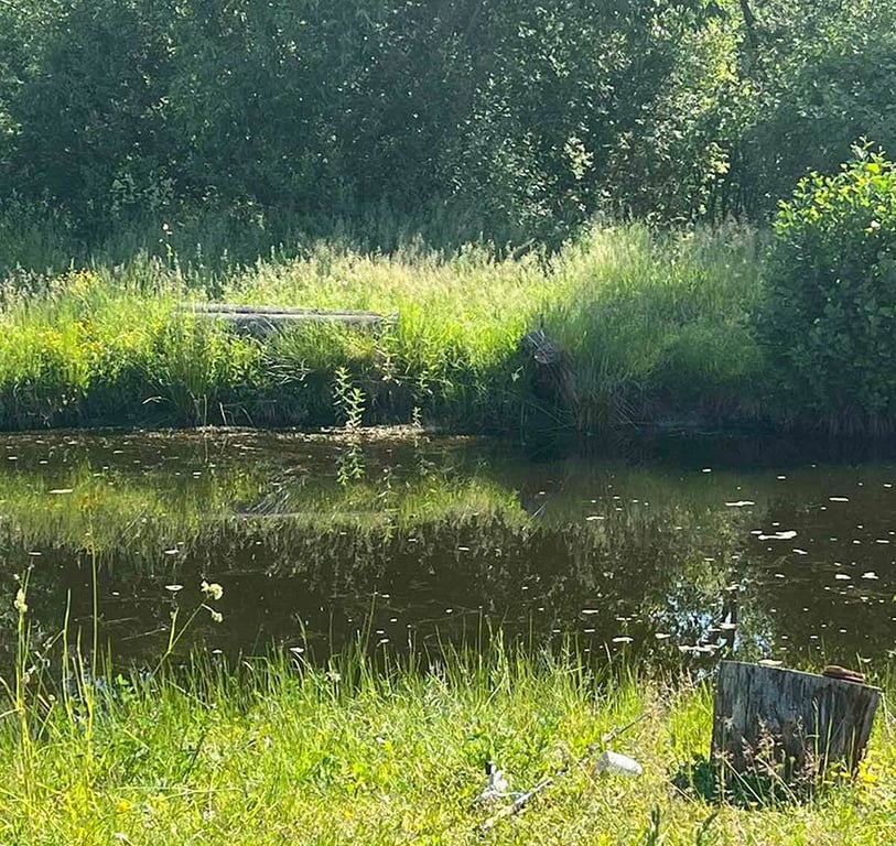 Молодой мужчина утонул в пруду на территории частного дома в Брестской области