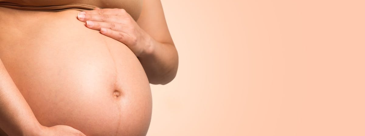 Матери Алексея Навального показали тело сына, но не отдают его