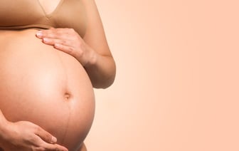 Матери Алексея Навального показали тело сына, но не отдают его