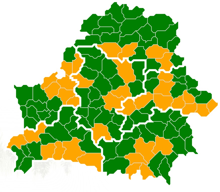 В 37 районах Беларуси ограничено посещение лесов