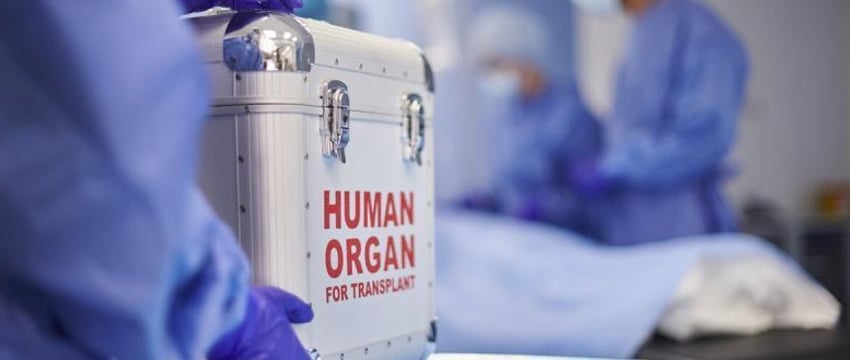 Схему вывоза человеческих органов раскрыли в Украине