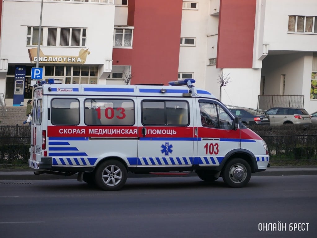 Фото носит иллюстративный характер