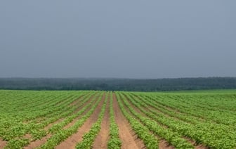 Белоруса уволили прямо перед пенсией. Он отсудил 10 зарплат