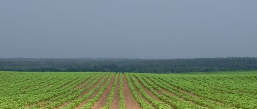 Белоруса уволили прямо перед пенсией. Он отсудил 10 зарплат