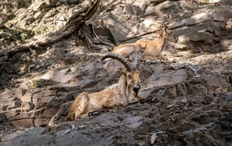 ОНТ анонсировало признание ЕГУ экстремистской организацией