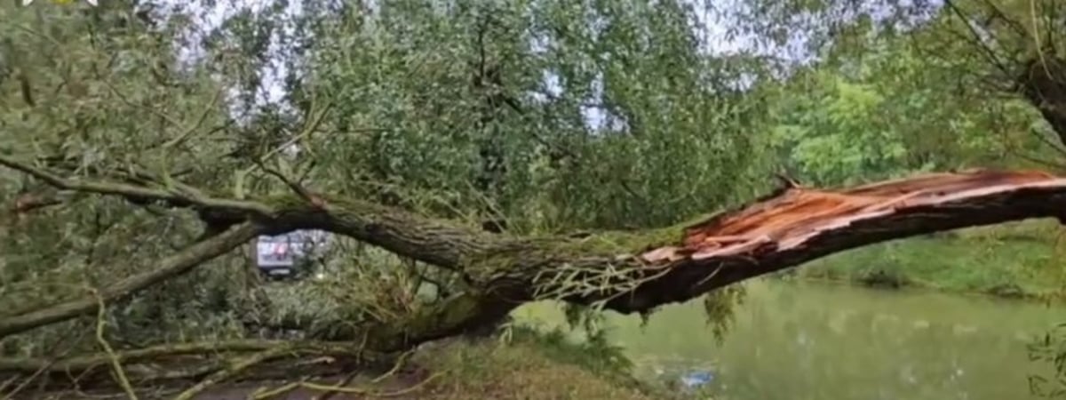 «Пока бедствие не заметили на высшем государственном уровне, бедствия для стабильности не существует»