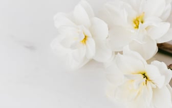 Как избавиться от запаха сигарет в квартире и одежде? Эти 5 способов помогут освежить воздух и вещи — Полезно