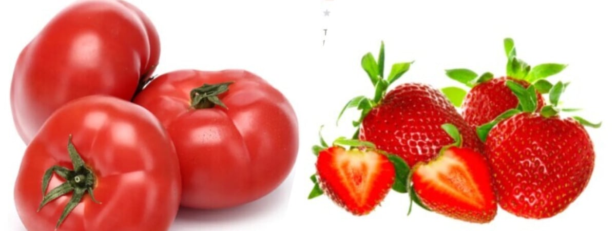 Дороже свежей клубники. В Беларусь завезли «экзотичные» помидоры по 64,99 рубля — Фото