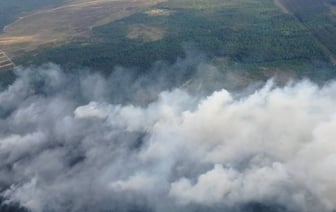 Тушение лесного пожара возле Ружан в Брестской области