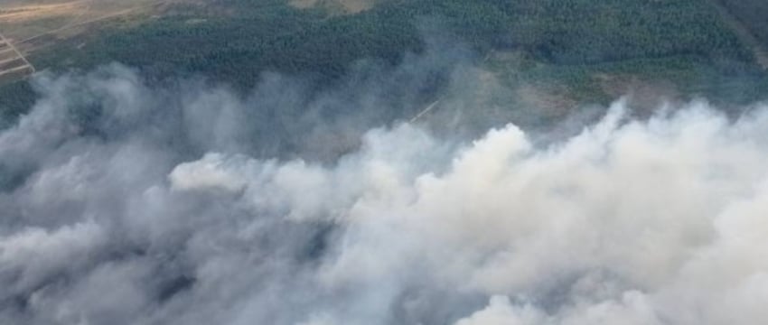 Тушение лесного пожара возле Ружан в Брестской области