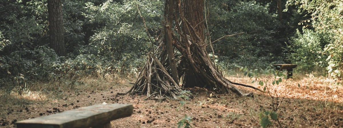 Польша ужесточает правила выдачи виз