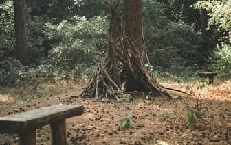 Польша ужесточает правила выдачи виз