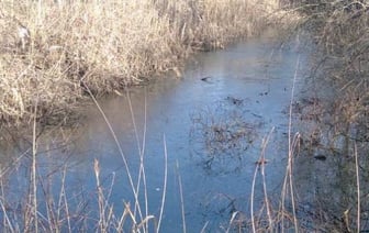 В Бресте в водоёме обнаружен труп мужчины