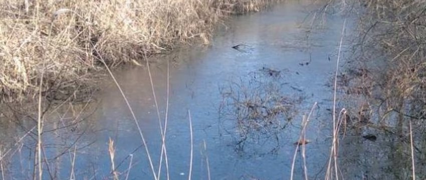 В Бресте в водоёме обнаружен труп мужчины