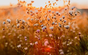 Море драйва, энергии, позитива – смотрите фоторепортаж с рок-концерта в Полоцке