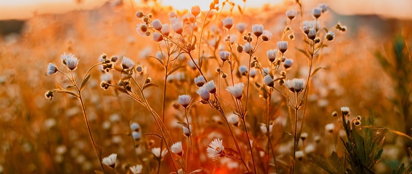 Море драйва, энергии, позитива – смотрите фоторепортаж с рок-концерта в Полоцке