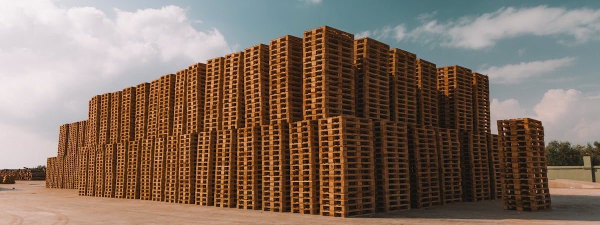 Беллесбумпром предлагает продлить лицензирование импорта отдельных видов товаров из древесины