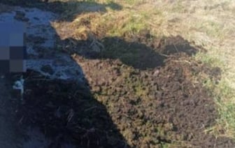 Лицом вниз в яме: в Лунинецком районе обнаружили тело мужчины