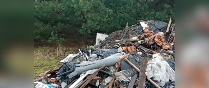 Свалка в лесополосе под Брестом. Мужчина снял видео - в ОАО «Чернавчицы» отреагировали
