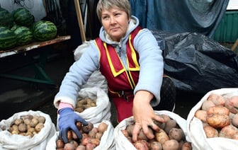 Головченко заявил, что белорусы стали есть меньше картошки из-за «роста доходов»