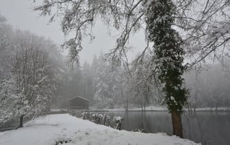 Экспорт золота из Кыргызстана в январе 2025 года заметно снизился