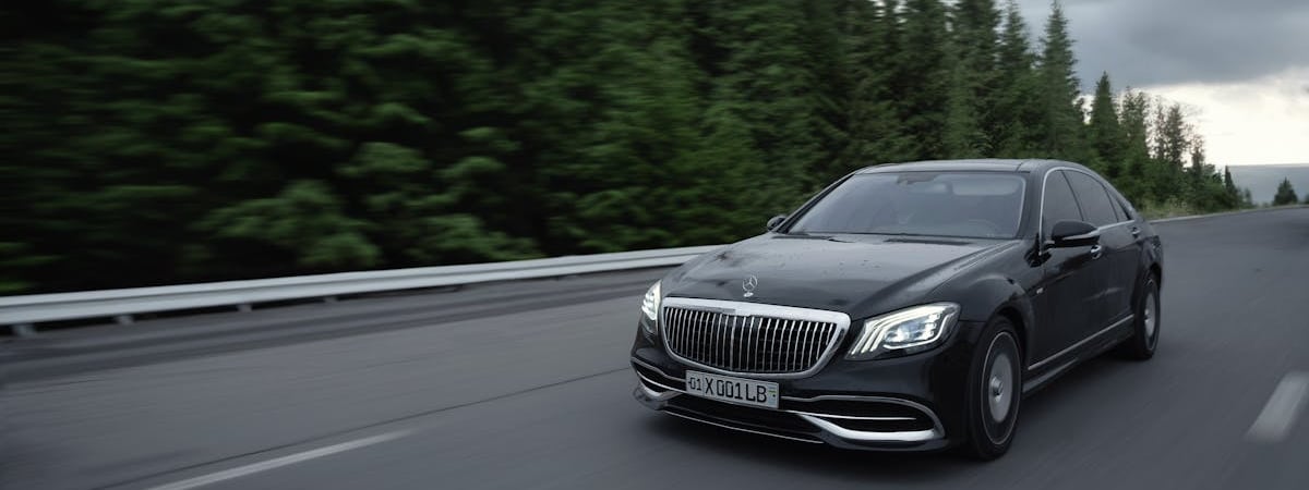 В Узбекистане законодательно запретили использовать животных в цирковых представлениях