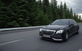 В Узбекистане законодательно запретили использовать животных в цирковых представлениях