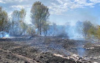 В Гомеле МЧС пять часов тушило пожар у Любенского озера