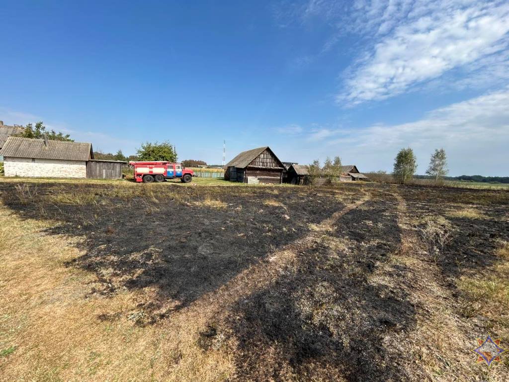 В Ганцевичском районе горела сухая растительность: пенсионерка получила ожоги