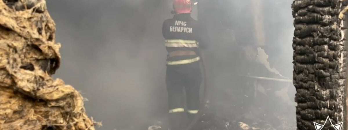 В пожаре в деревне под Берёзой сгорели четыре ребёнка в возрасте от 2 месяцев до 6 лет — Видео