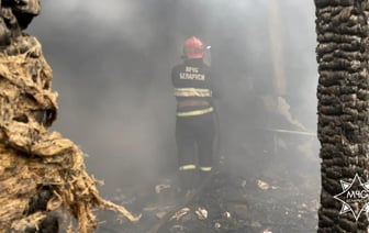 В пожаре в деревне под Берёзой сгорели четыре ребёнка в возрасте от 2 месяцев до 6 лет — Видео