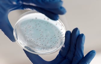 Осужденную на 20 лет колонии по «делу Автуховича» Ольгу Майорову обвиняют в злостном неповиновении администрации