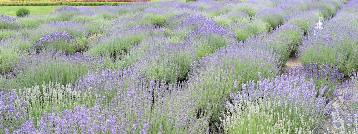 Украина представила концепции послевоенного восстановления