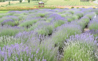 Украина представила концепции послевоенного восстановления