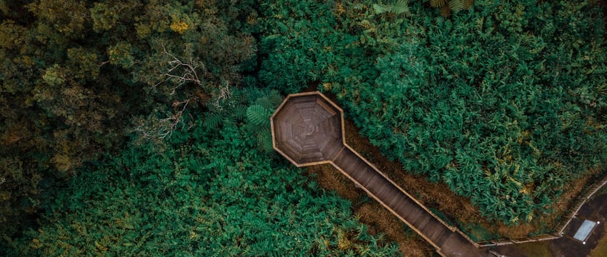 Развитие туризма в Полоцке