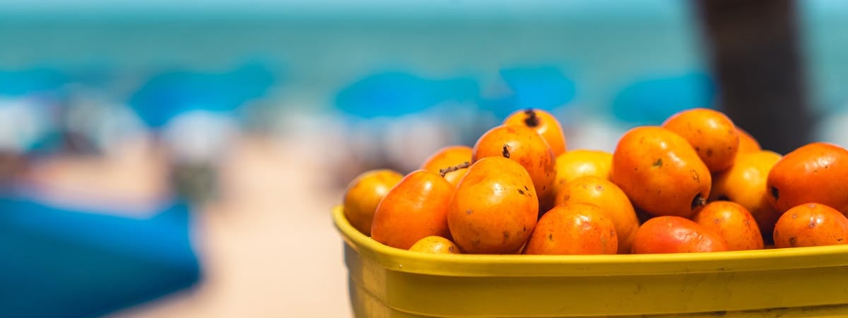 В Украине на деньги ЕС построят хранилище для национальной коллекции семян