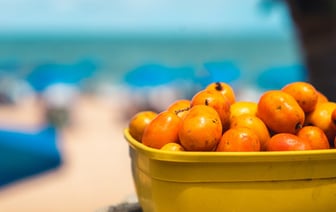 В Украине на деньги ЕС построят хранилище для национальной коллекции семян