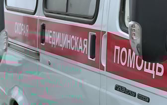В Минздраве пообещали «объективизацию всех фактов», связанных со смертью 10-летней девочки в больнице в Старых Дорогах