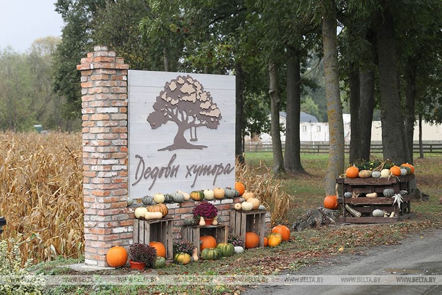 Семья из Кобринского района приучает белорусов к премиум-овощам