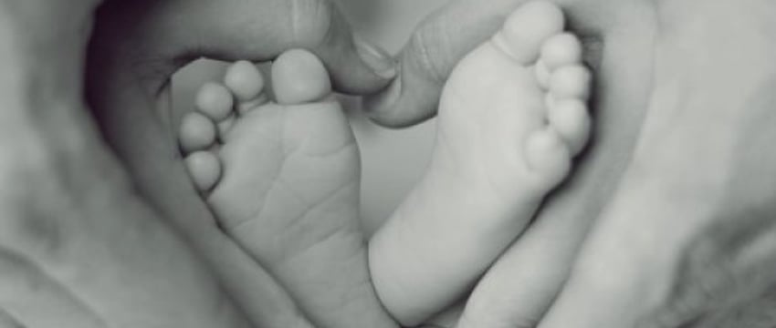 Как взыскать алименты с биологического родителя, если тот идет в отказ