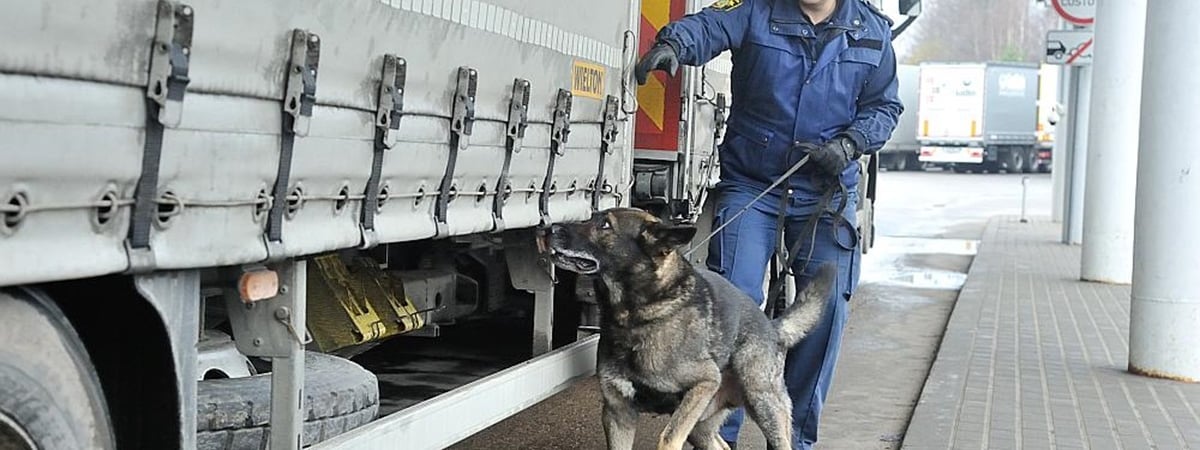 Латвия ужесточила пограничный контроль продукции из Беларуси