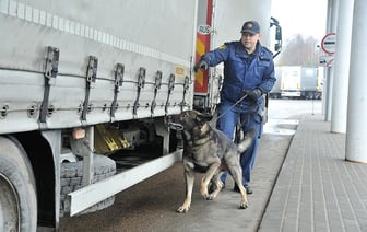 Латвия ужесточила пограничный контроль продукции из Беларуси